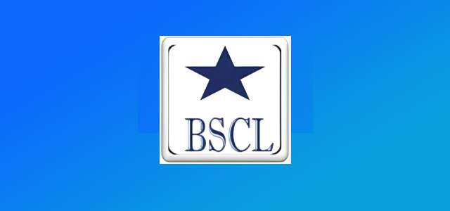 Blue Star Cargo Logistics